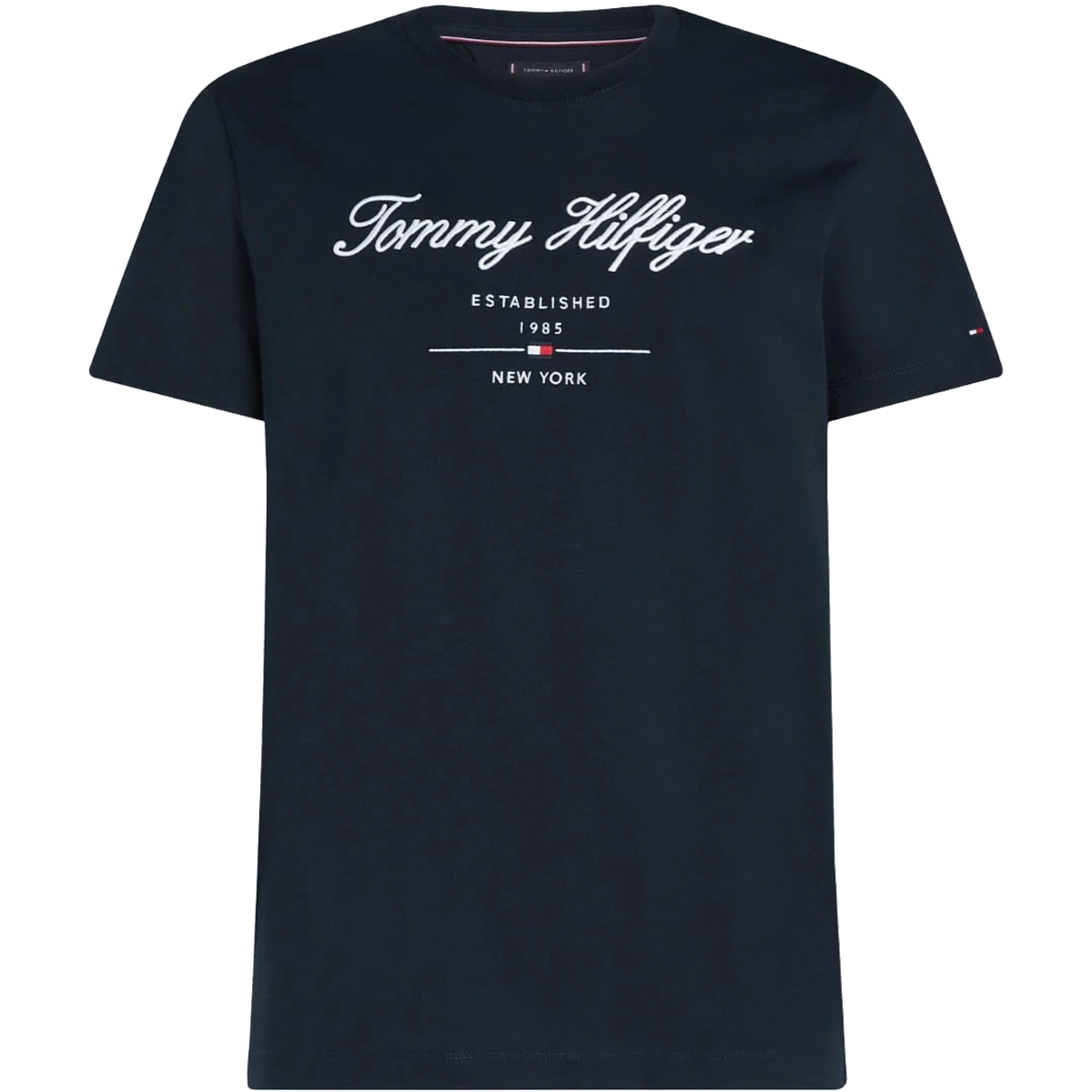 TOMMY HILFIGER - SCRIPT LOGO TEE - MW0MW33691-DW5 DESERT SKY TOMMY HILFIGER - SCRIPT LOGO TEE - MW0MW33691-DW5 DESERT SKY - Image 1